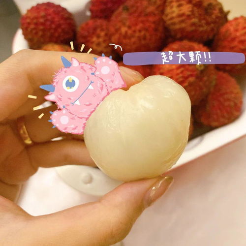 荔枝飲品大測(cè)評(píng),即刻擁有初夏快樂(lè) 丨xx玩樂(lè)團(tuán)