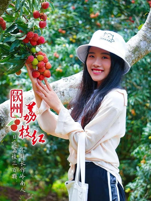 快收藏 端午節(jié)荔枝游精品旅游線路來(lái)啦