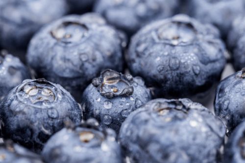 先睹為快 速看第十三屆亞果會(huì)都有哪些優(yōu)質(zhì)果品