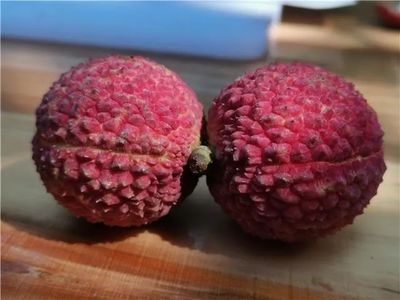 懶人福音!莆田市農(nóng)業(yè)科學(xué)研究所種出無核荔枝!